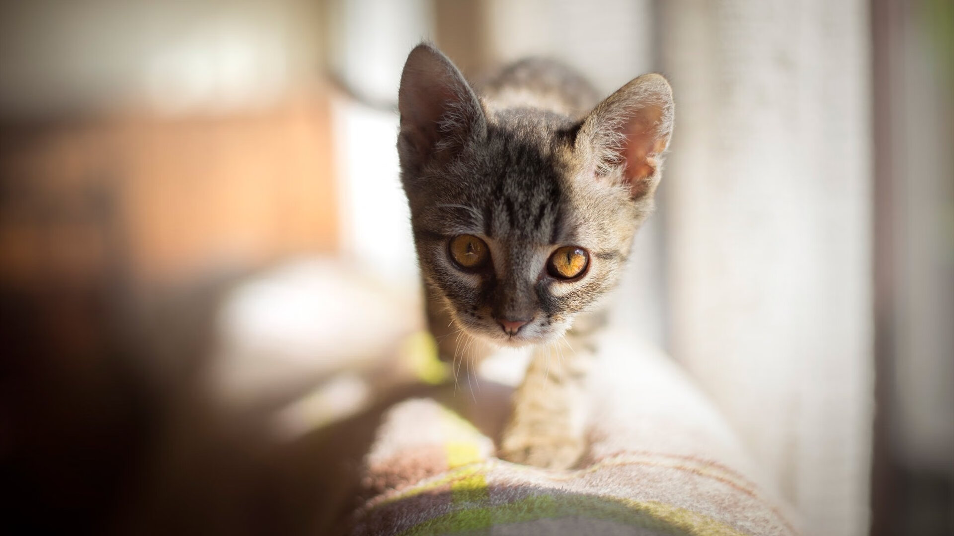 kaiyun体育综合-全国男子篮球邀请赛广东队大胜晋级，广东男子篮球联赛2021重启